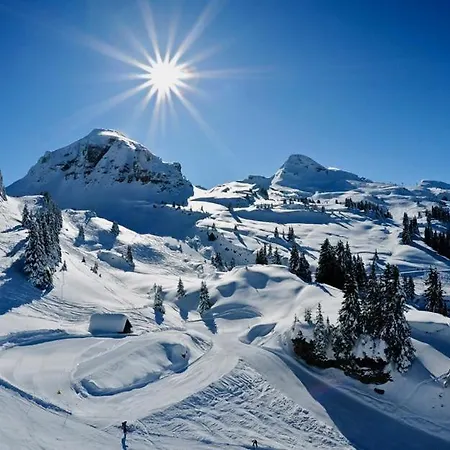 Appartement Studio 2 Personnes Proche Pistes 76282 Châtel